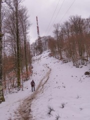 IMG_9398