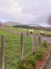 IMG_9434