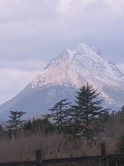 IMG_9437