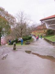 IMG_9608