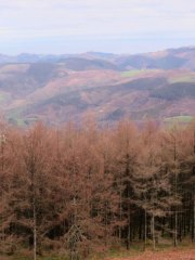 IMG_9642-Pano