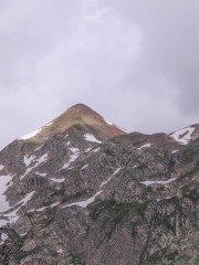 36