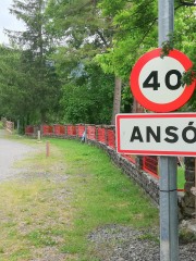 36
