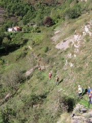 IMG_2560
