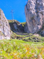 IMG_2626