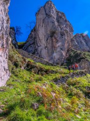 IMG_2629