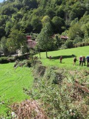 IMG_2651