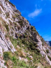 IMG_2661