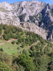 IMG_2685-Pano
