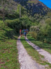 IMG_2694