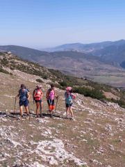 IMG_2961-Pano