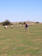 IMG_2970
