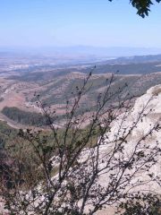 IMG_2988-Pano