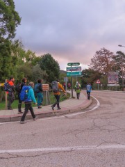 IMG_3130
