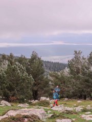 IMG_3175-Pano