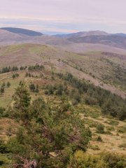 IMG_3272-Pano