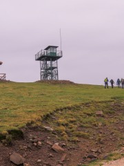 IMG_3279