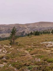 IMG_3289-Pano