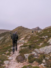 IMG_3305
