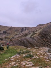 IMG_3309