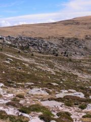 IMG_3369-Pano