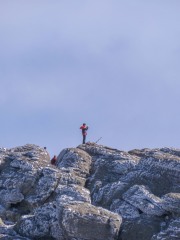 IMG_3377