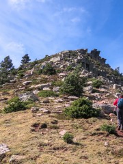 IMG_3420