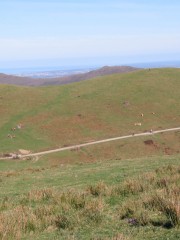 26