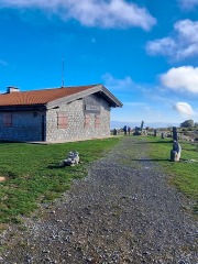 25