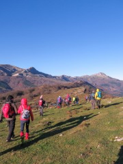 IMG_3919