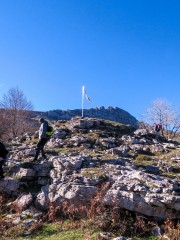 IMG_3937