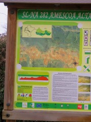49