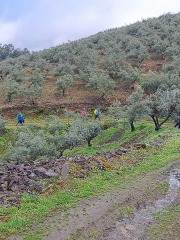 IMG-20240401-WA0015
