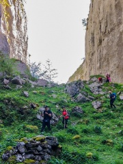 IMG-20250518-WA0007