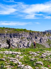 IMG-20250518-WA0008