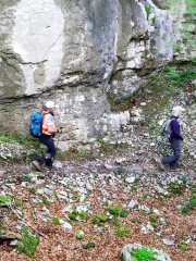 IMG-20250518-WA0029