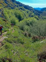 IMG-20250518-WA0050