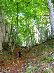 IMG-20250518-WA0058