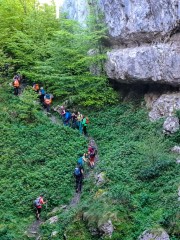 IMG-20250518-WA0066