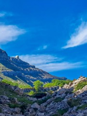IMG-20250518-WA0074