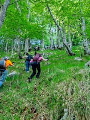 IMG-20250518-WA0090