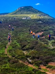 IMG-20250518-WA0120