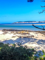 IMG-20250725-WA0008