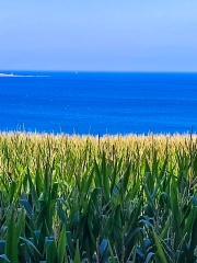 IMG-20250725-WA0015