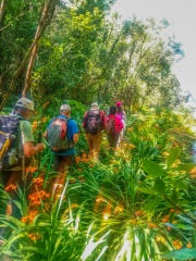IMG-20250725-WA0029