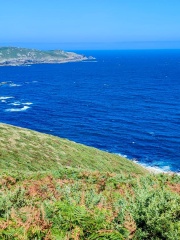 IMG-20250726-WA0029