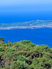 IMG-20250726-WA0033