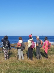 IMG-20250726-WA0051
