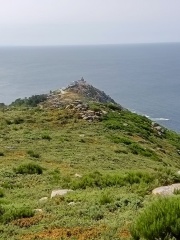 IMG-20250727-WA0018