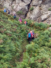 IMG-20250728-WA0014